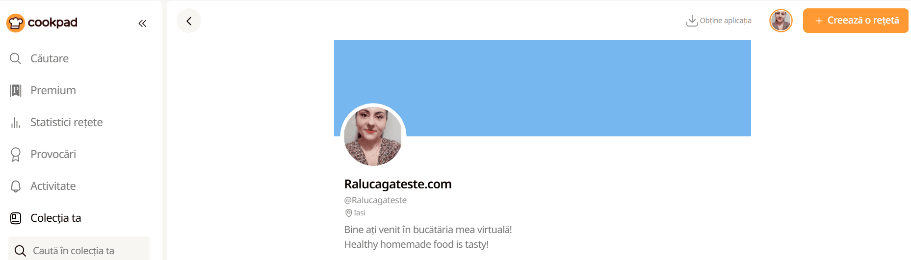Profilul Ralucagateste.com pe Cookpad