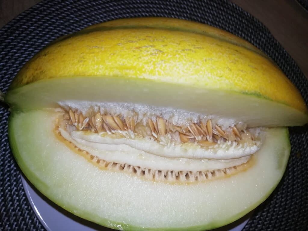 Gem de pepene galben